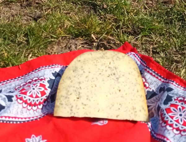 Brandnetelkaas jong belegen