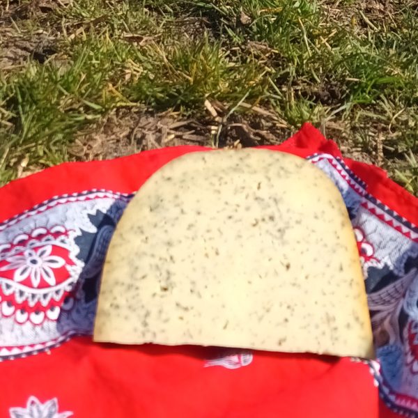 Brandnetelkaas jong belegen