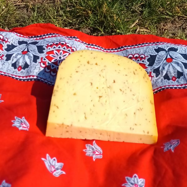 Komijn kaas belegen